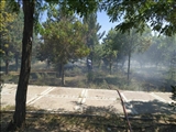 آتش سوزی ضایعات وفضای سبزدردانشگاه شهید مدنی آذربایجان اطفاء حریق شد.