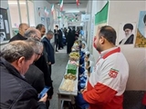 نمایشگاه و جشنواره غذا در بوستان غنچه های ممقان